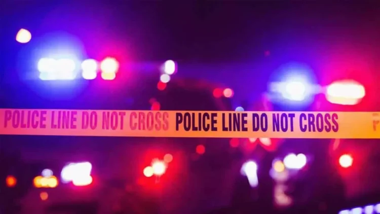Delhi Woman Allegedly Murders Boyfriend Using Forensic Skills Delhi Woman Allegedly Murders Boyfriend Using Forensic Skills