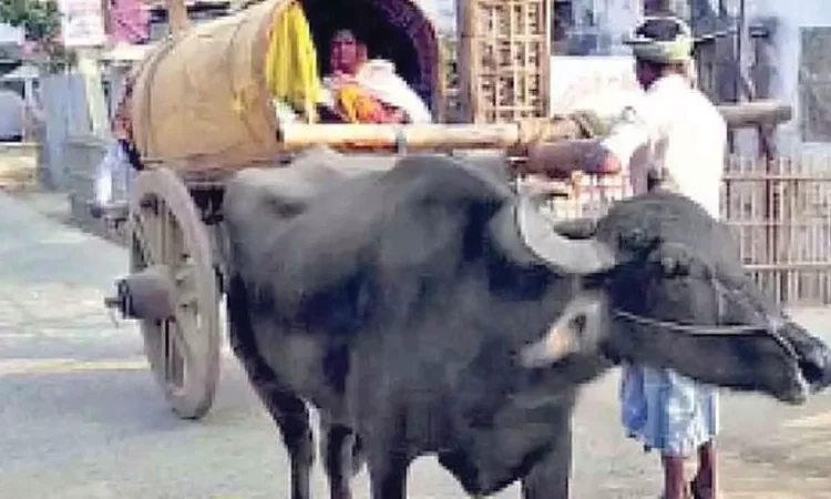 Akhilesh Yadav Criticizes UP Government Over Ambulance Issues Akhilesh Yadav Criticizes UP Government Over Ambulance Issues