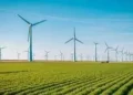 Leading Companies Shaping India's Wind Energy Landscape
