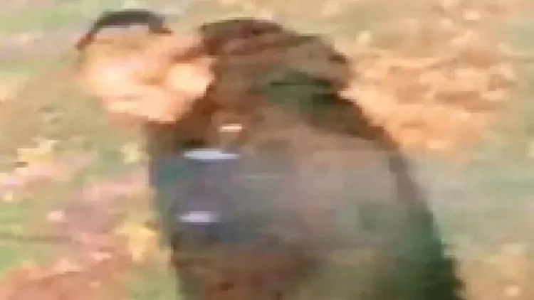 NAPA strongly condemns the racially motivated rape of Sikh woman in the UK NAPA strongly condemns the racially motivated rape of Sikh woman in the UK