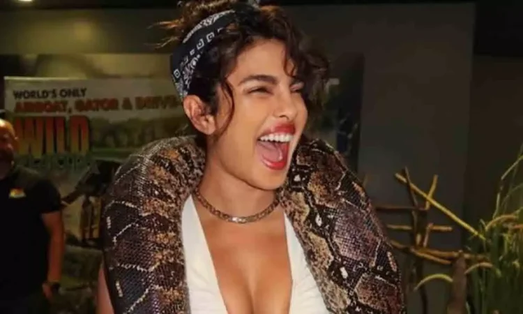 Priyanka Chopra Shares Daring Snake Photos on Instagram Priyanka Chopra Shares Daring Snake Photos on Instagram