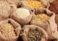 New Legislation Planned to Improve Seed Quality Standards