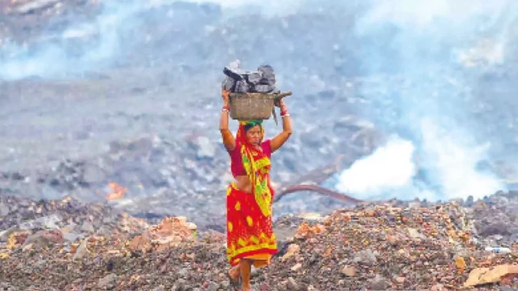 Supreme Court prohibits mining near national parks and wildlife Supreme Court prohibits mining near national parks and wildlife