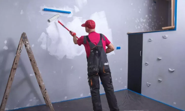 Tips to Avoid Dampness and Cracks Before Painting Your Walls