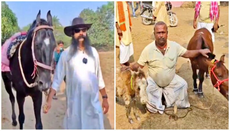 Why Sonepur Mela is Attracting Record Visitors This Year