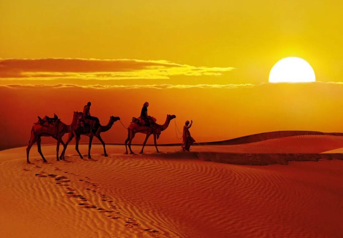 The Ultimate Guide to Visiting Jaisalmer: The Perfect Time to Go The Ultimate Guide to Visiting Jaisalmer: The Perfect Time to Go